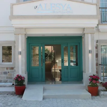 Alesya 3*