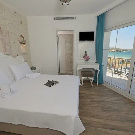 Hotel Alesya